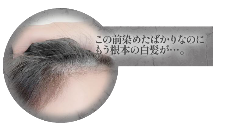 あぁ、もう目立ってきた